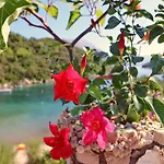 Cebalo Kor Ula Apartamento Korčula