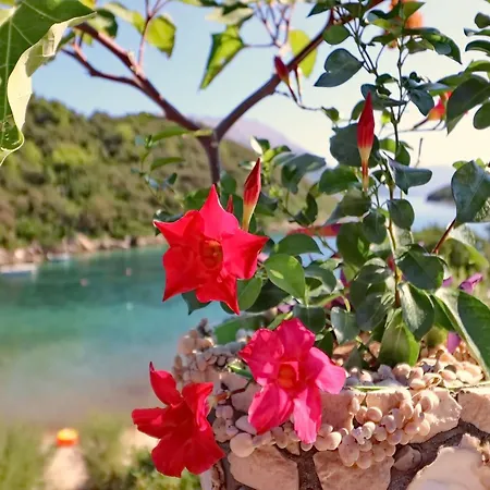 Cebalo Kor Ula Daire Korčula